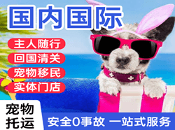 丹东机场物流国际宠物托运 【国